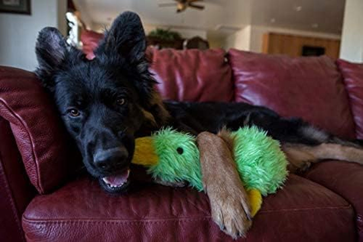 Duck Plush Filled Dog Toy