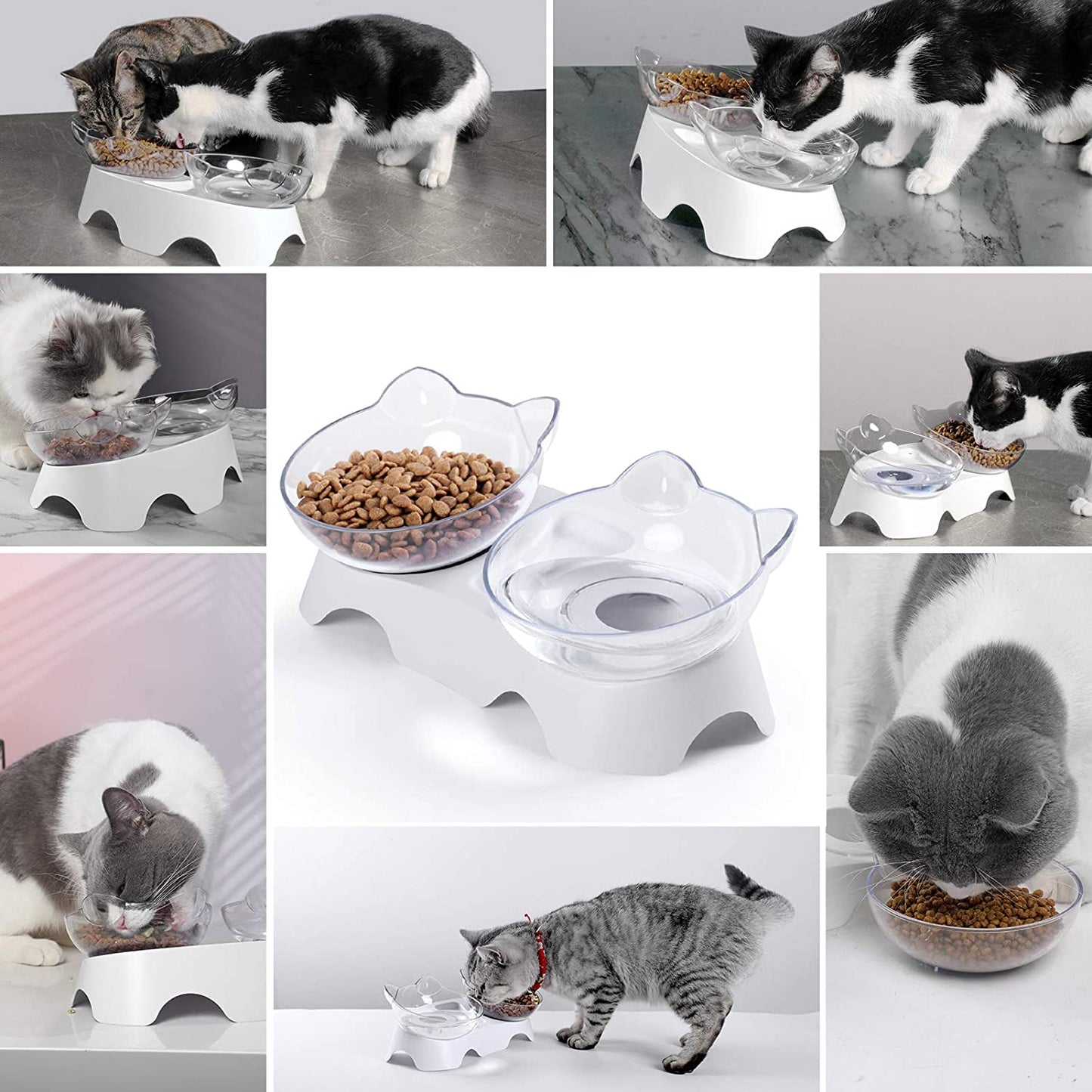 Cat Food Bowls Elevated Tilted