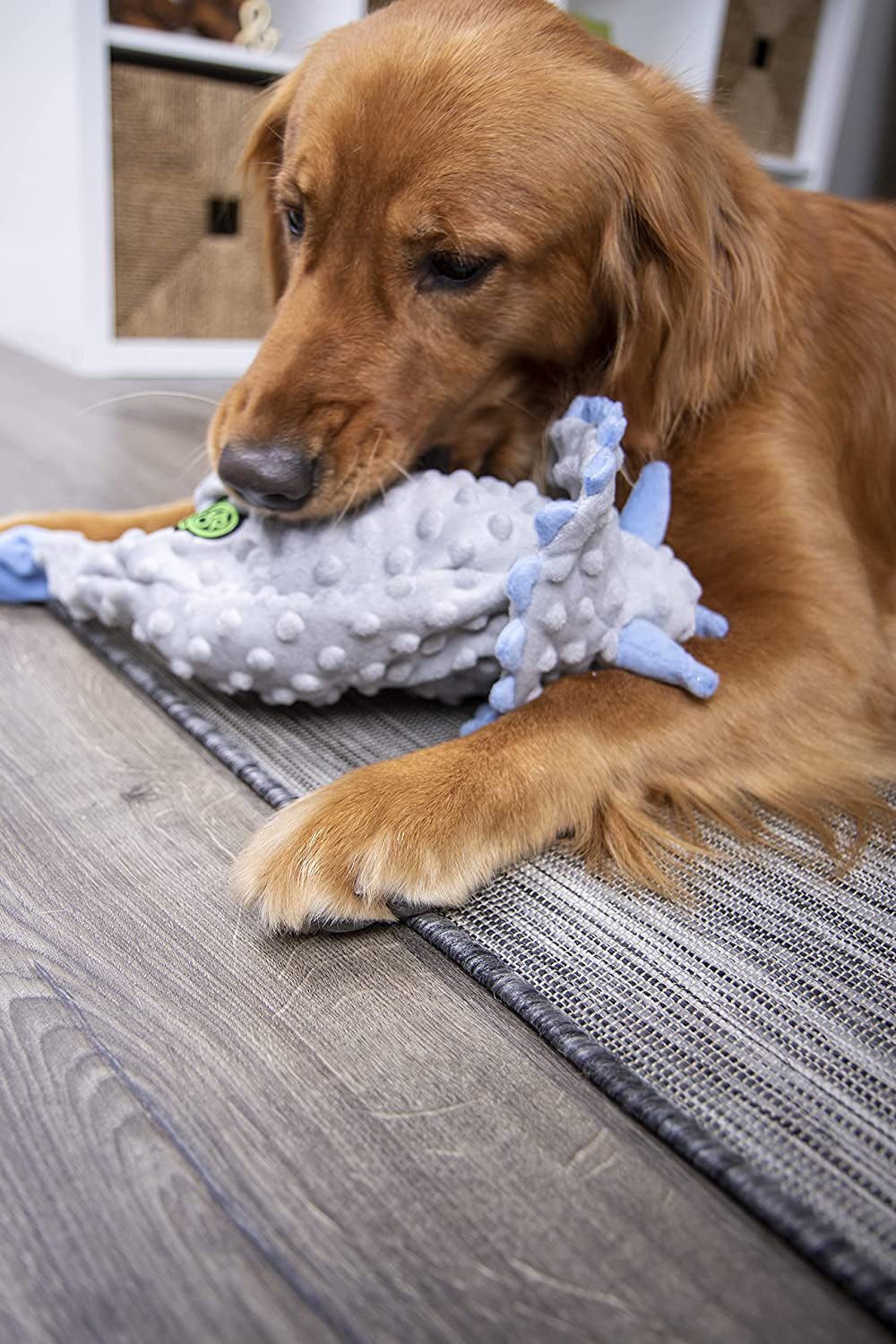 Dinos Frills Squeaky Plush Dog Toy