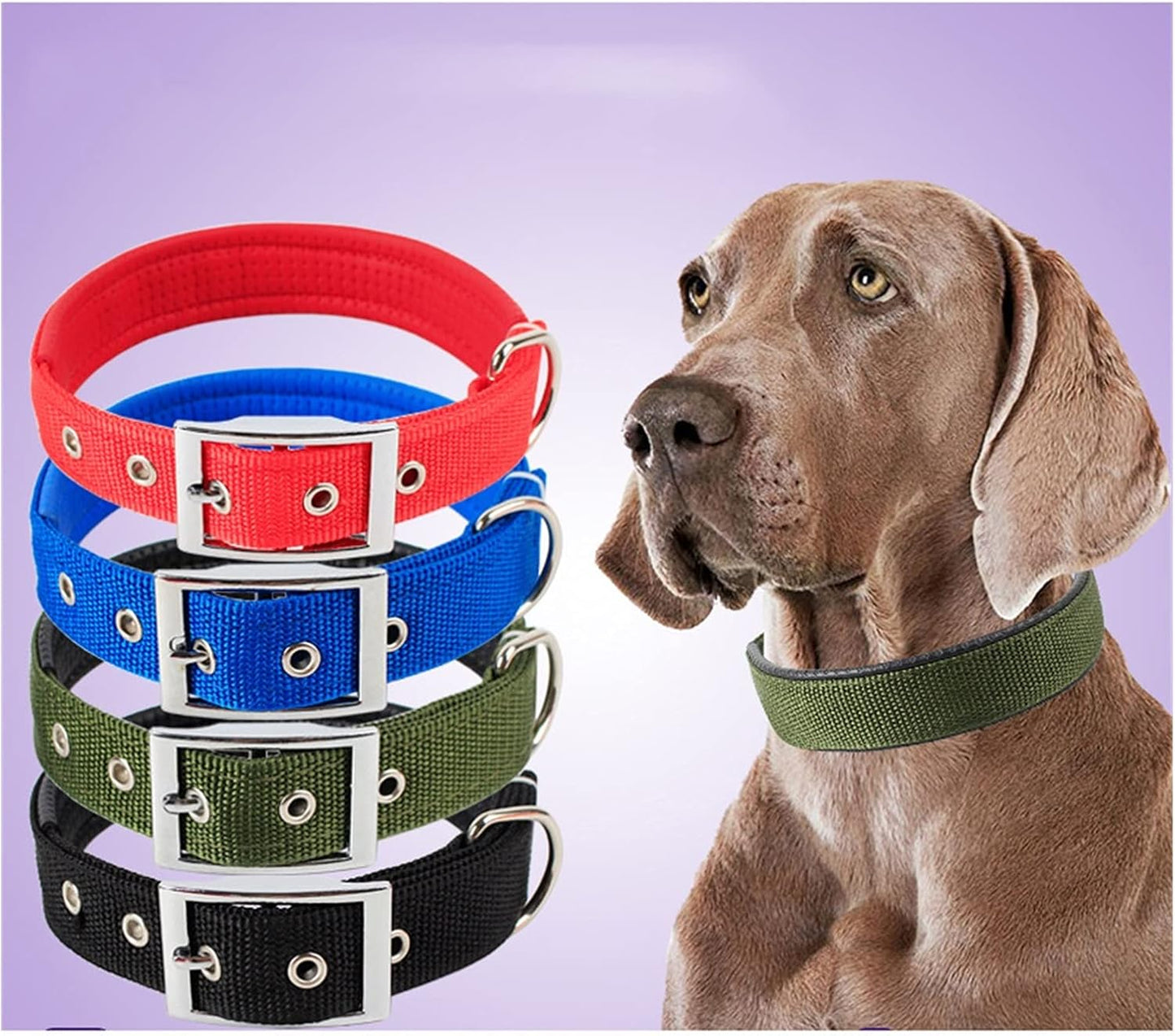 Collars Dog Collar for Small Medium Large Dogs (Color : Black, Size : X-Large)