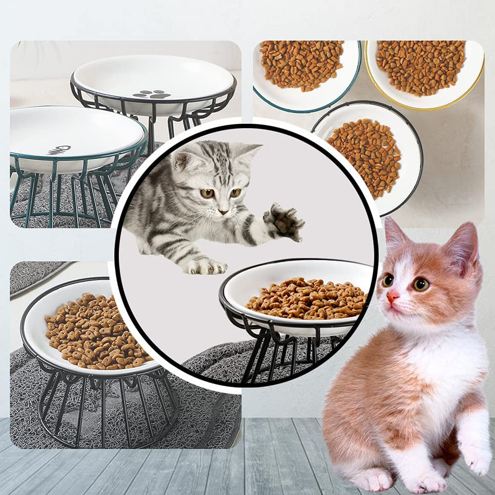 Elevated Cat Plate Dishwasher Safe