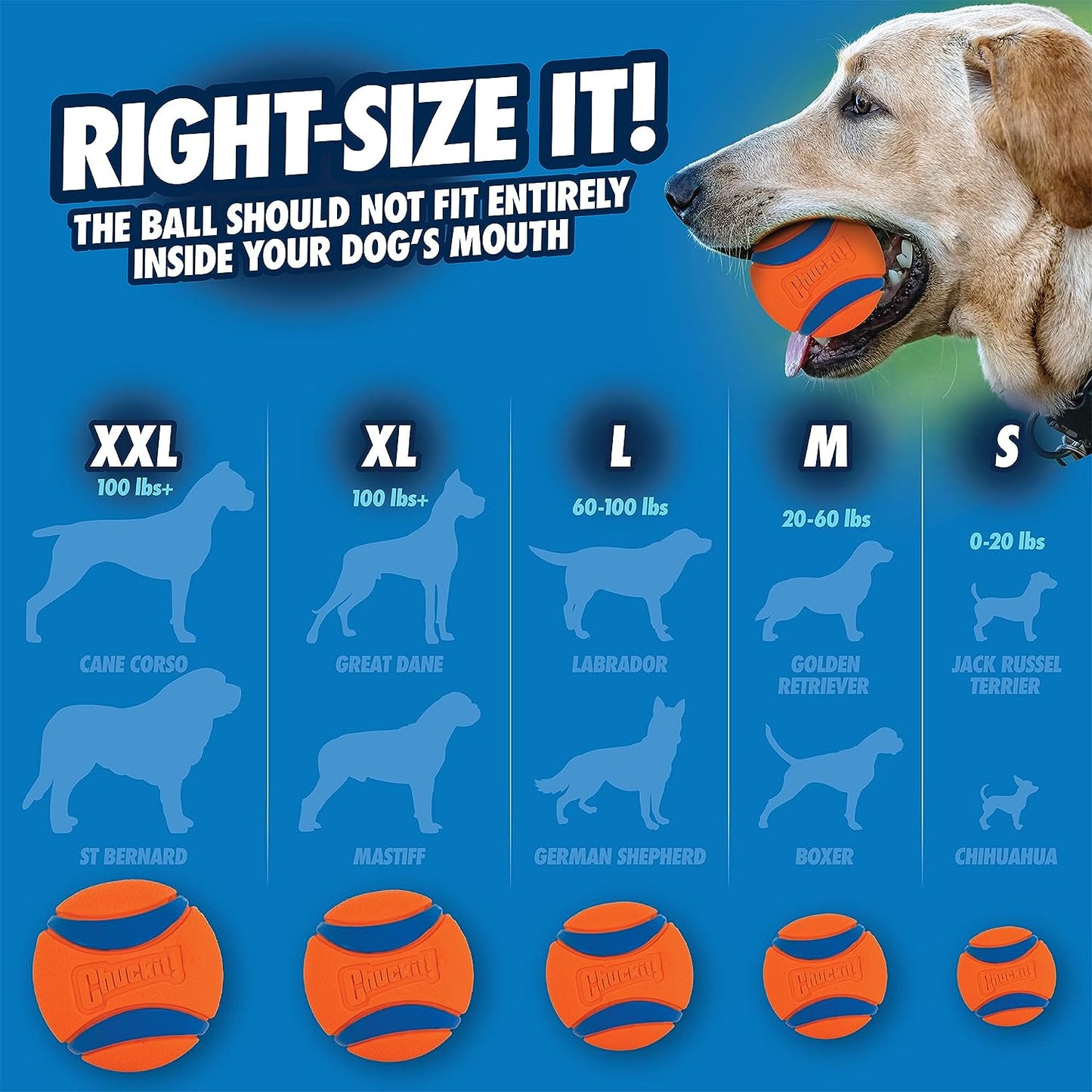 Chuckit Ultra Ball Dog Toy, Medium (2.5 Inch Diameter) Pack of 2, for Breeds 20-60 Lbs