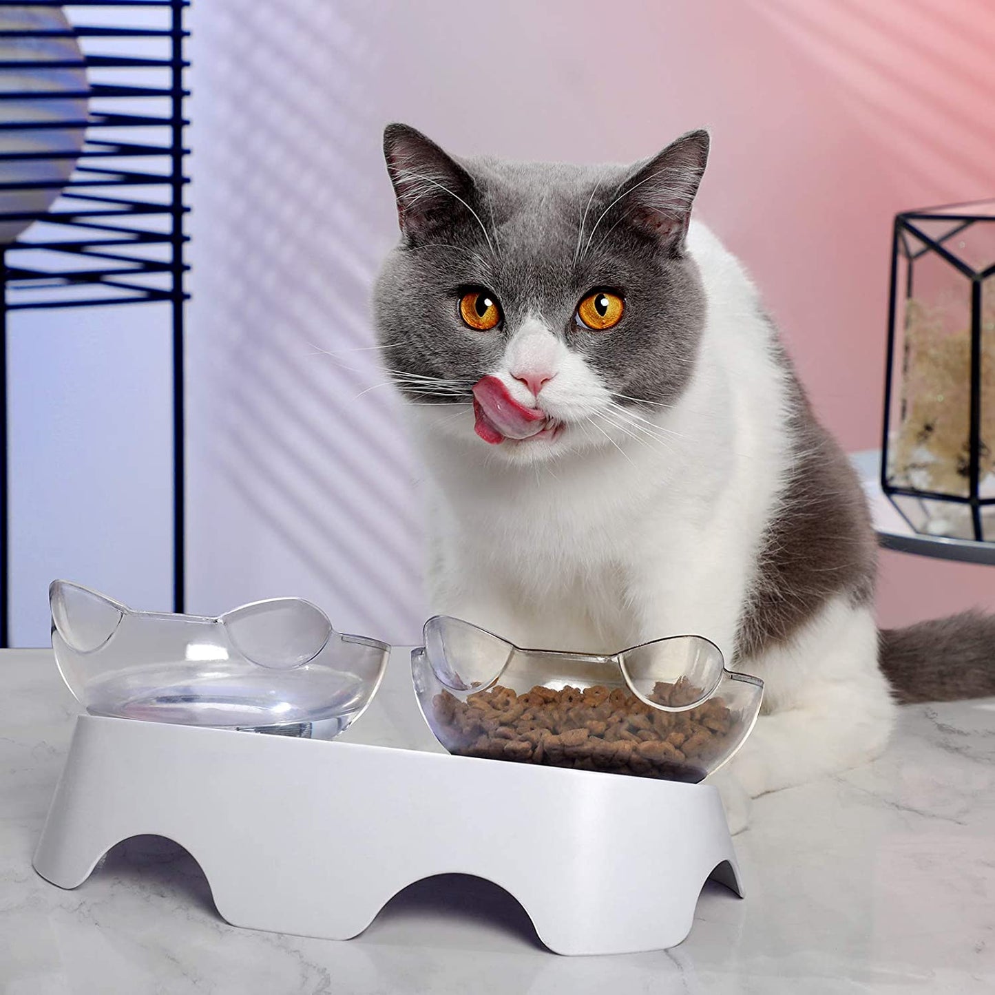 Cat Food Bowls Elevated Tilted