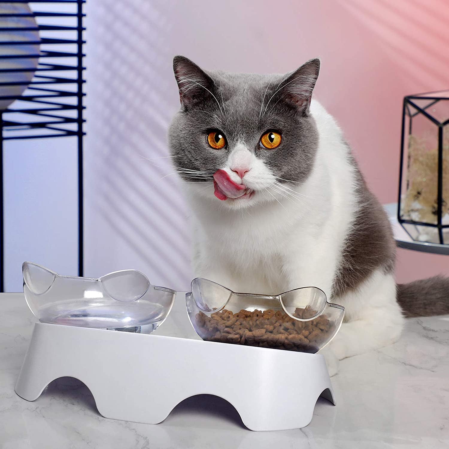 Cat Food Bowls Elevated Tilted