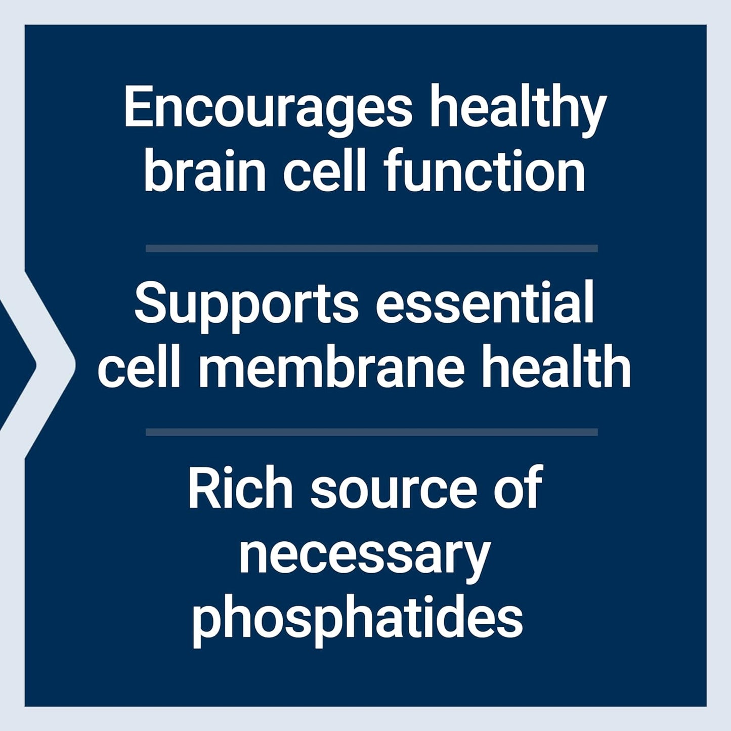 Lecithin, Promotes Healthy Cell Structure and Function in the Brain, Gluten Free, Non-Gmo, Vegetarian, 454 Grams