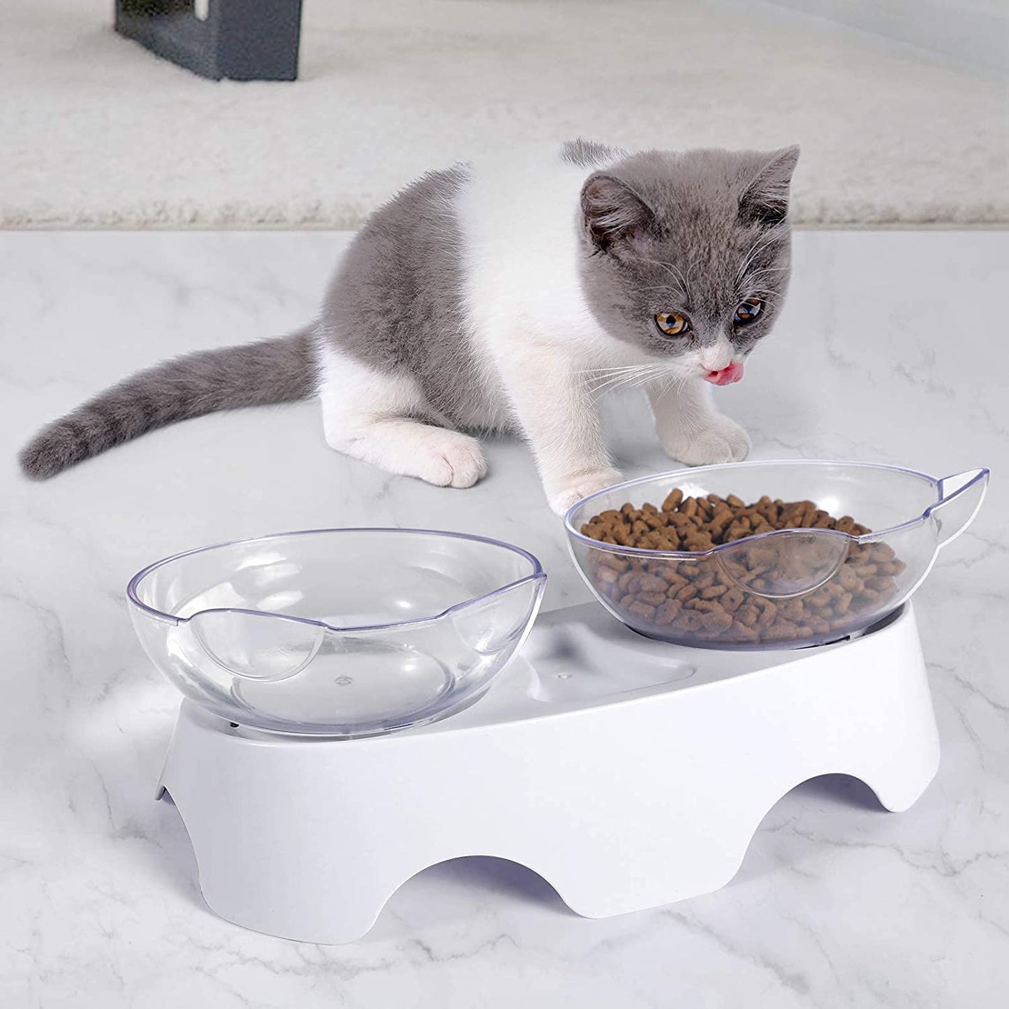 Cat Food Bowls Elevated Tilted