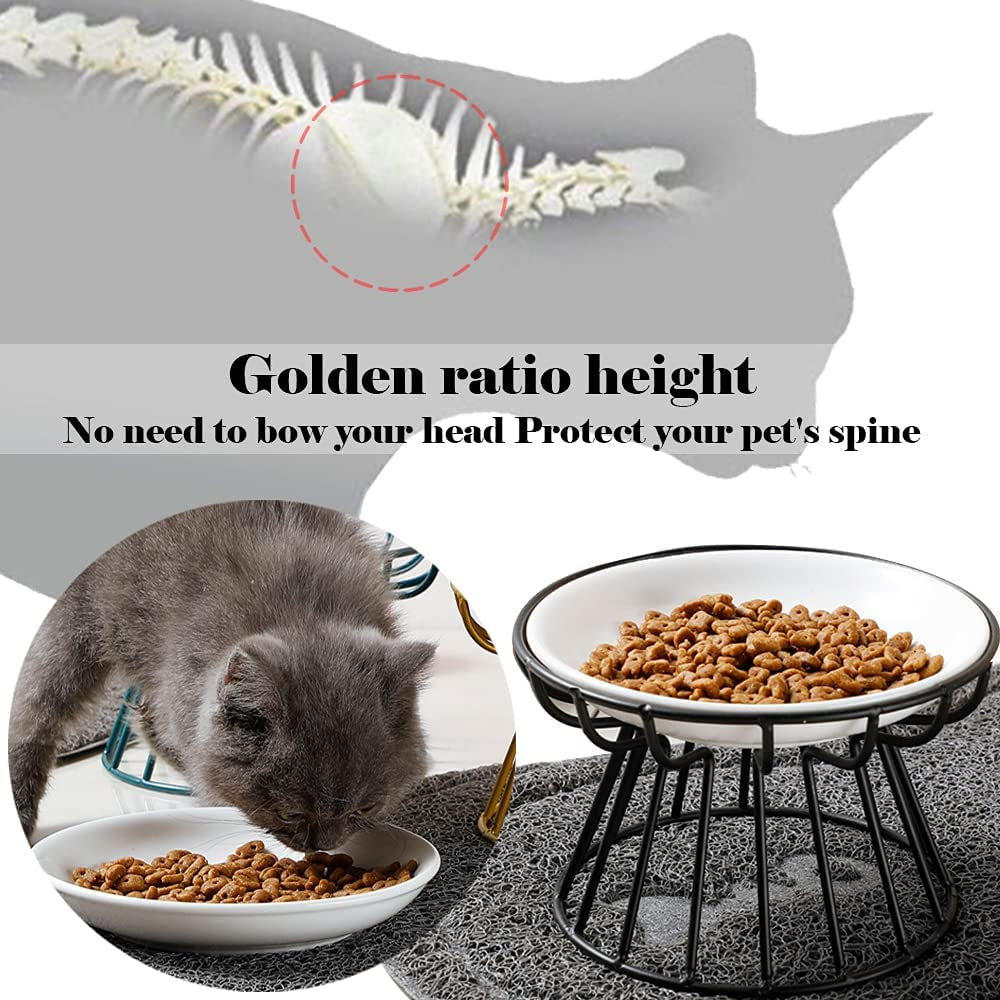 Elevated Cat Plate Dishwasher Safe