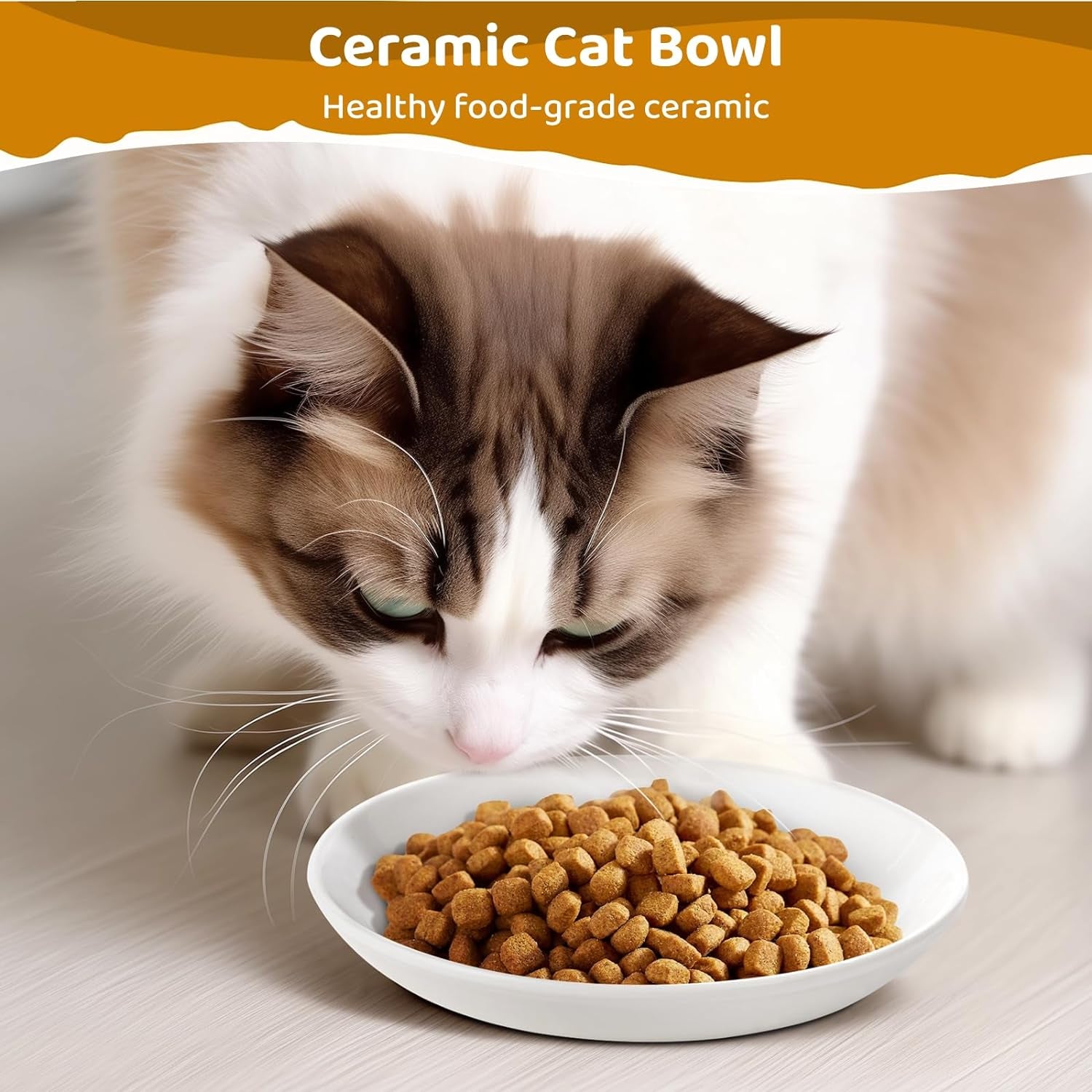 Ceramic Cat Food Plates