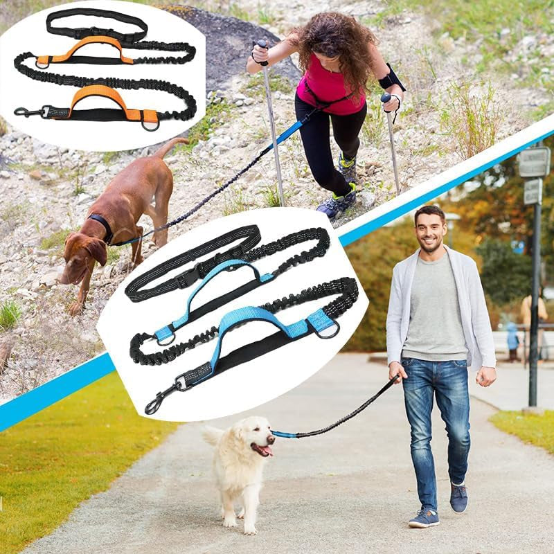 Double Stretch Reflective Running Leash Portable Retractable Dog Leash Leash Dog Chain Leash Pet Supplies (Black)