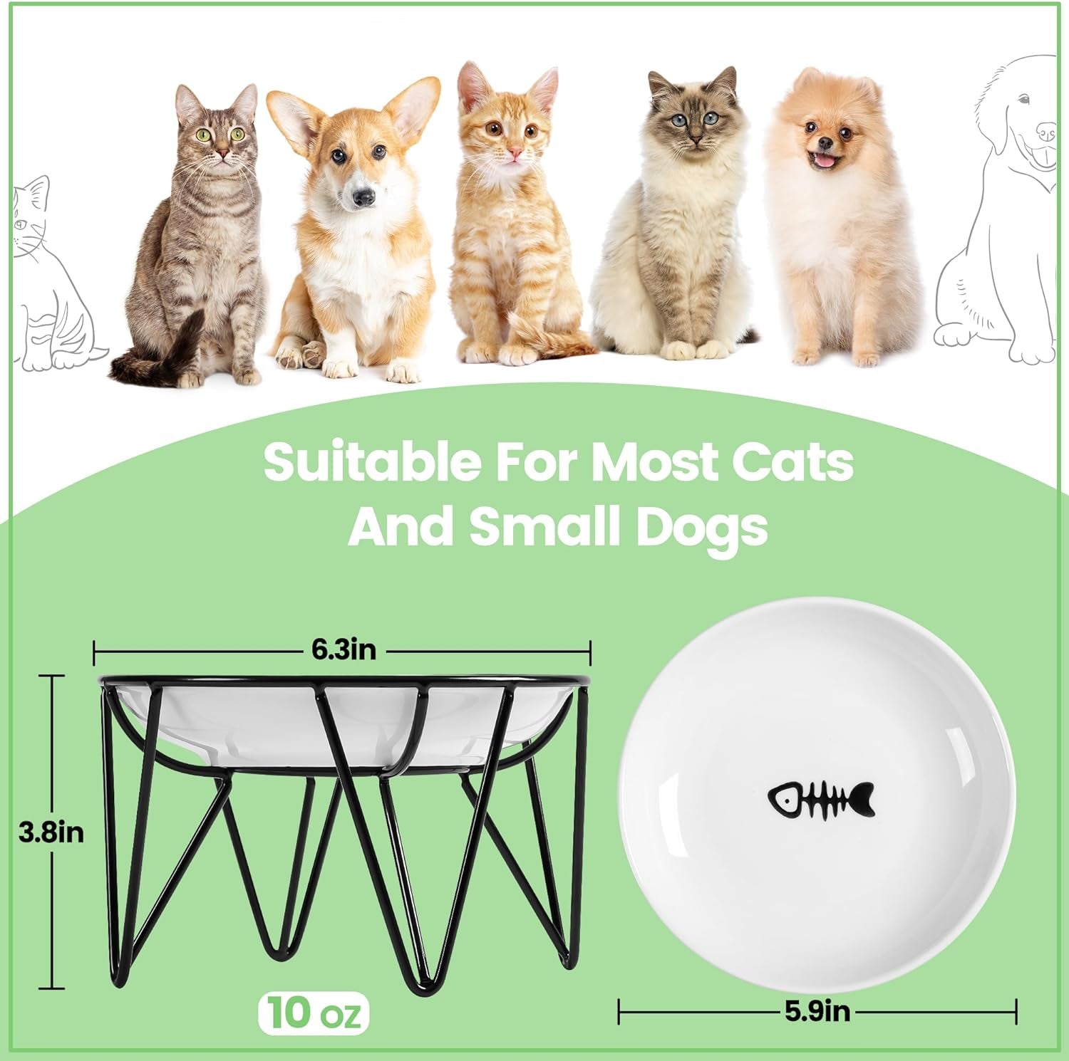 Ceramic Cat Bowls, 2 Pack - Raised