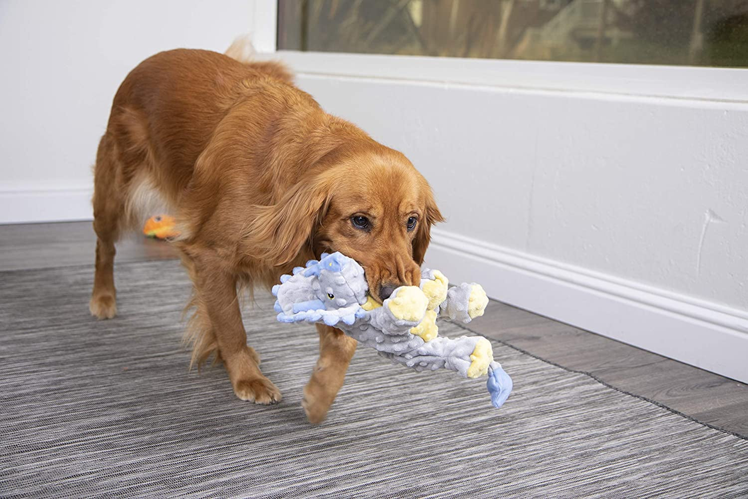 Dinos Frills Squeaky Plush Dog Toy