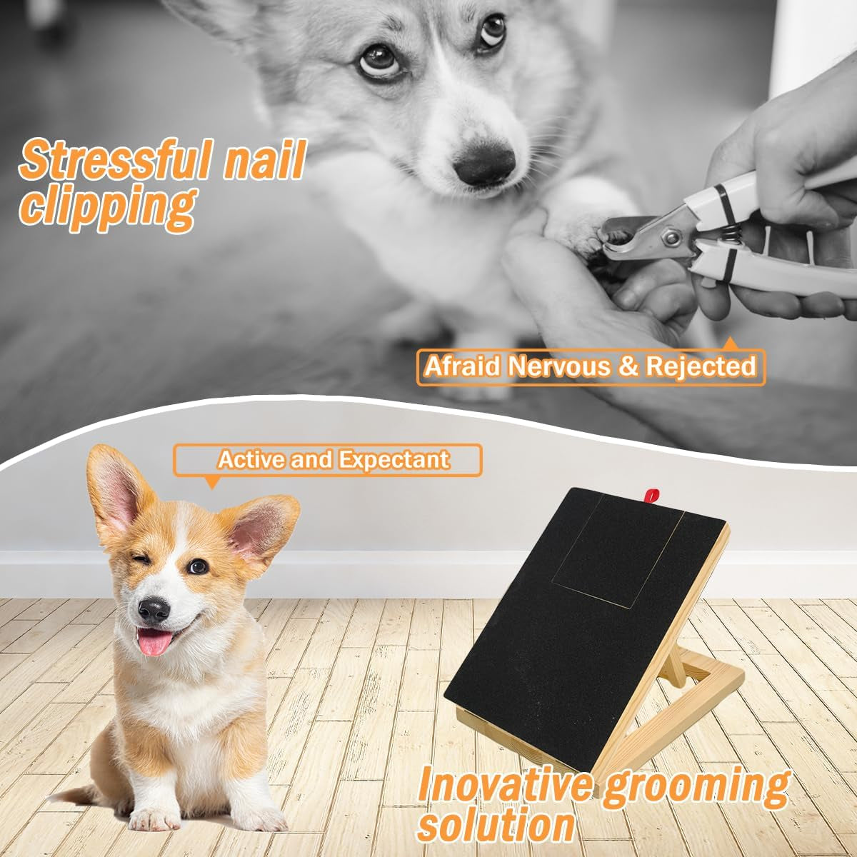 Dog Scratch Pad for Nails (With Treat Box) 