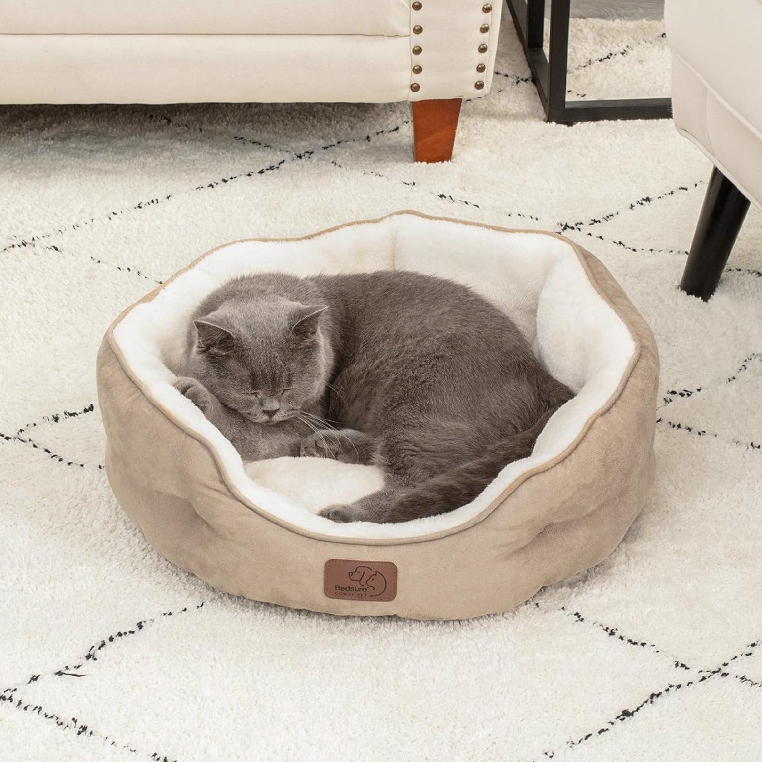 Bed for Small Dogs or Cats