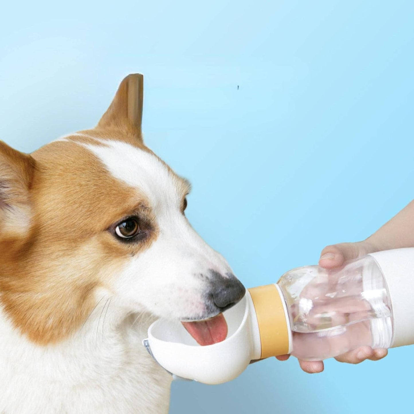 Dog Outing Water Cup Dog Kettle Portable Portable Cup Dog Walking Water Bottle Pet Drinking Water Feeding Drinking Water Apparatus Supplies